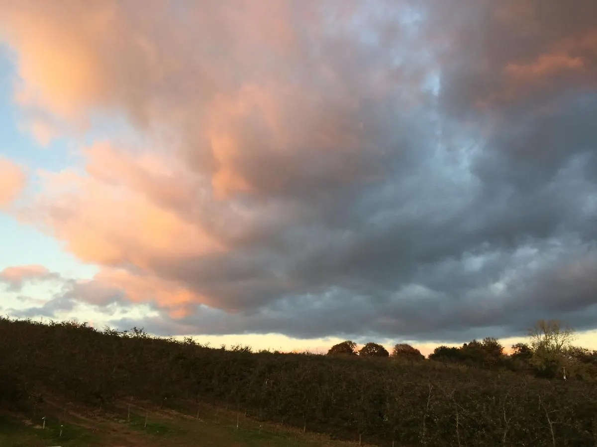 Luxury tent Bowhayes Farm - Camping & Glamping - Bell Tents - Cider Orchard Venn Ottery