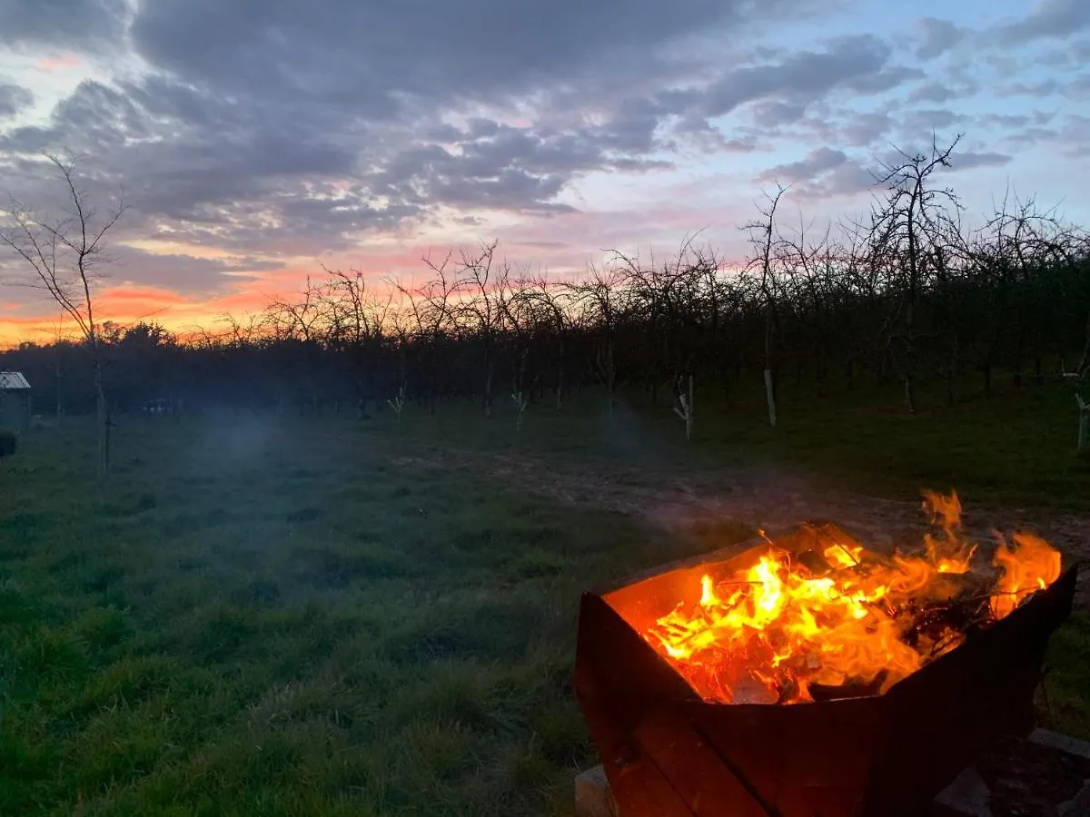 Bowhayes Farm - Camping & Glamping - Bell Tents - Cider Orchard Venn Ottery