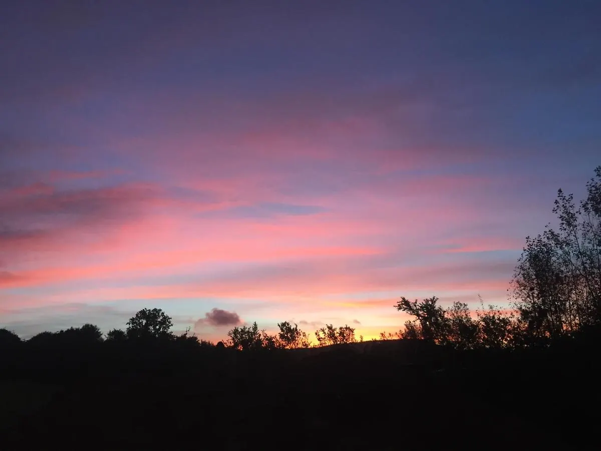 Bowhayes Farm - Camping & Glamping - Bell Tents - Cider Orchard Venn Ottery Luxury tent